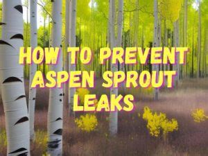 Free aspen.sprout Porn